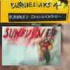 Sunburned Hand of the Man - Burnieleaks 4